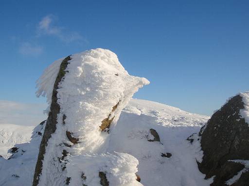 12_54-1.jpg - Rock on Red Screes doing impression of a road runner