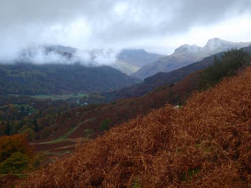 11_44-1.jpg - View up Langdale to the Langdale Pikes