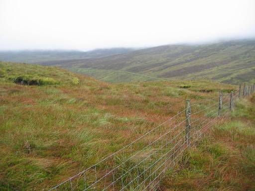 11_14-1.jpg - A view of sorts - this fence is handy for navigation in mist!