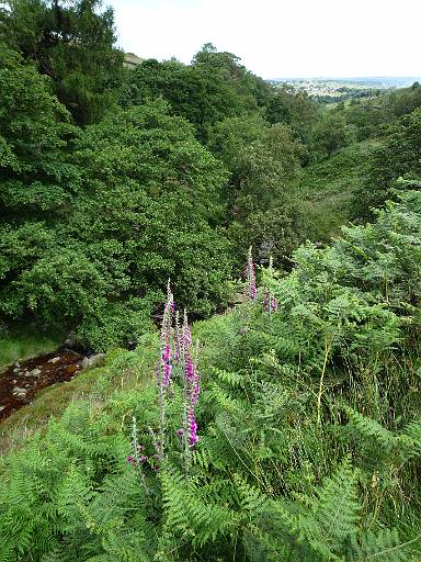 12_27-1.jpg - Beyond Bronte Bridge