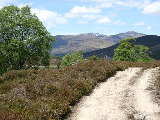 11_46-1.jpg - On the track towards Derry Lodge