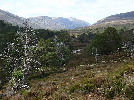 13_36-1.jpg - Looking past Derry Cairngorm