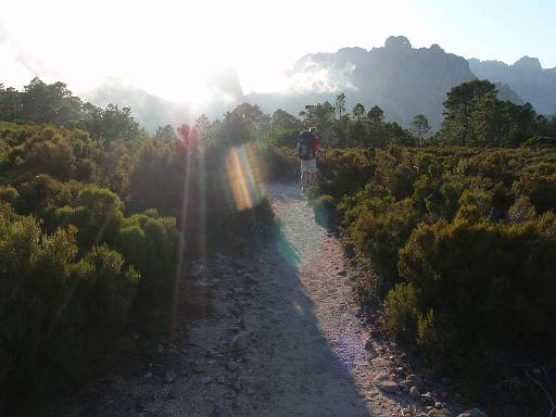 16_40-1.jpg - Sunshine beating down on the path.