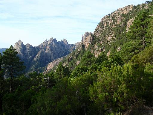 06_22-1.jpg - Rock and trees