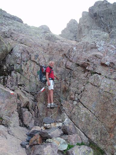 06_50-1.jpg - Phil negotiates the sole ladder on the route