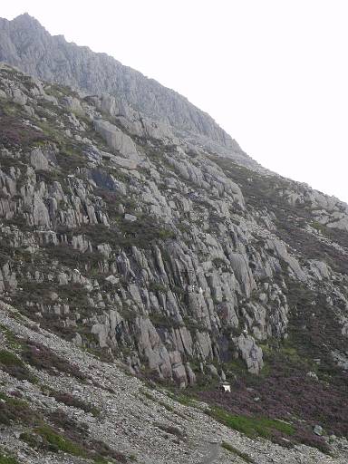 06_51-1.jpg - Sheep on ledges below Glyder Fach