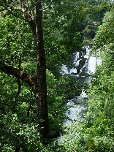 11_22-1.jpg - A glimpse of Swallow Falls