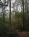 dscf0007