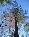 dscf0017