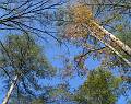 dscf0025