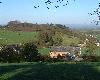 View Back to The Pheasant