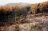 Macclesfield Forest