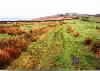 Sponds Hill