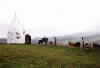 White Nancy