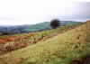 Winkle Minn To Sutton Common