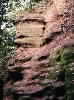 Jacobs Ladder