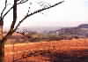 Rawhead with Peckforton Castle